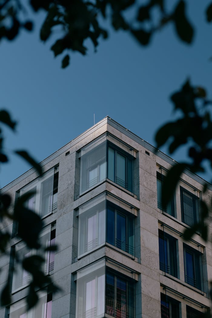 Architectural shot of a modern building framed by leaves against a clear blue sky.